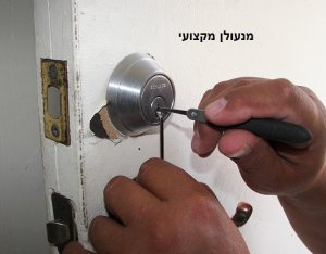 מנעולן מקצועי