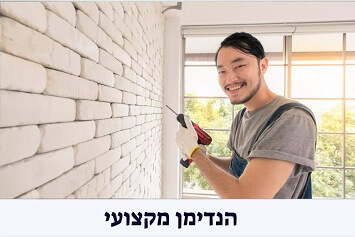 הנדימן מקצועי